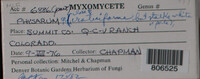 Image Associated With the Occurence